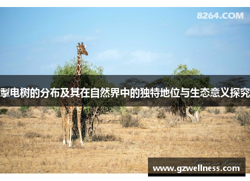 掣电树的分布及其在自然界中的独特地位与生态意义探究