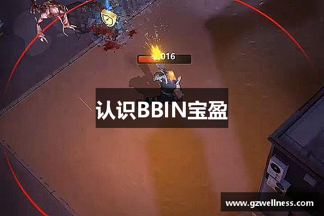 认识BBIN宝盈